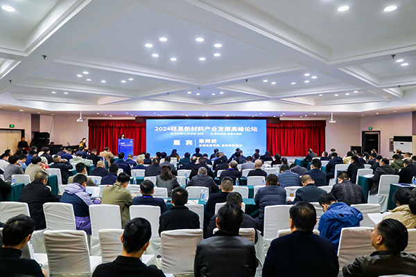 頂立科技參加硅基新材料高峰論壇，分享高純石英制備熱工裝備最新技術(shù) (2).jpg